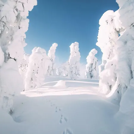 Little Peak Ruka